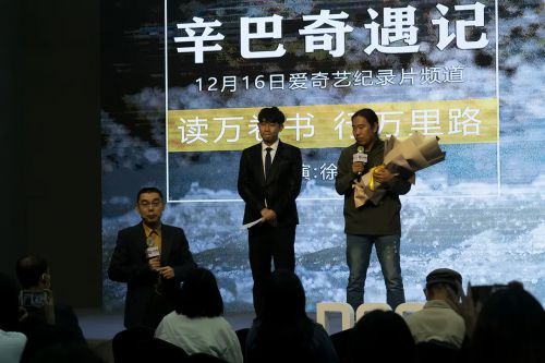辛巴奇遇记