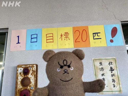 悲熊