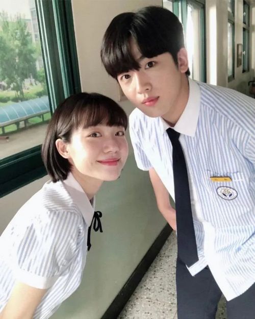 致美丽的我们