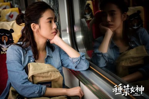 种菜女神