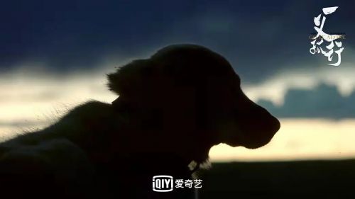 一义孤行