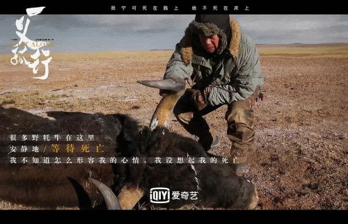 一义孤行