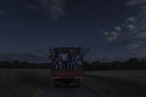 消失的校车