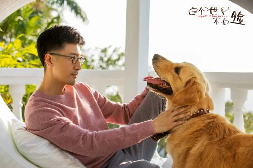 这个世界不看脸