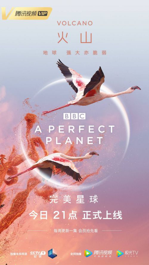 完美星球