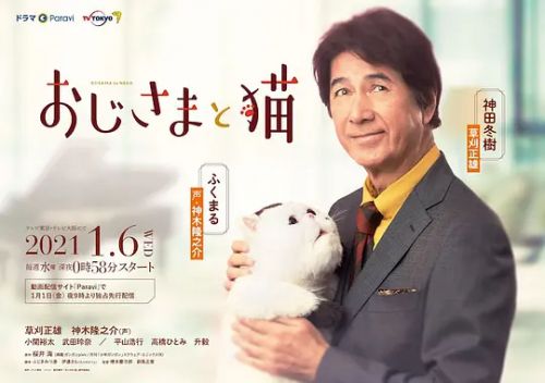 大叔与猫 おじさまと猫
