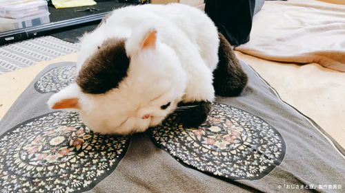 大叔与猫 おじさまと猫
