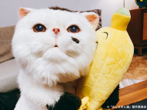大叔与猫 おじさまと猫