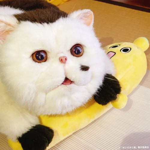 大叔与猫 おじさまと猫
