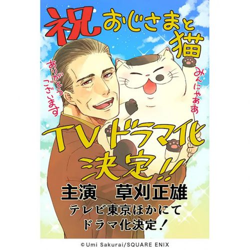 大叔与猫 おじさまと猫