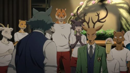 动物狂想曲 第二季