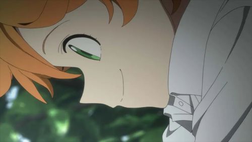 约定的梦幻岛 