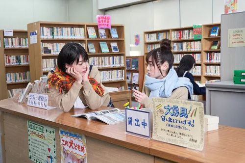 摇曳露营
