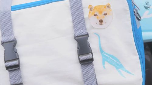 摇曳露营
