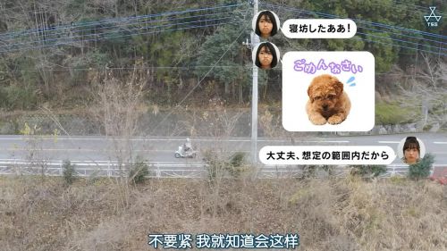 摇曳露营