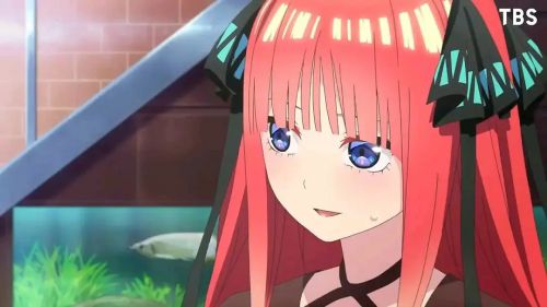 五等分的新娘 第二季 