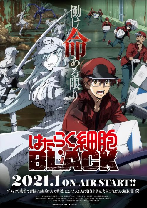 工作细胞black 