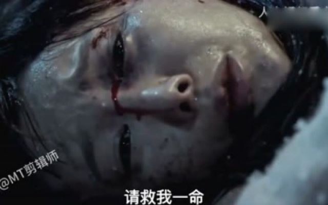 韩剧voice：女子怀着宝宝夜晚外出的时候，遭遇歹徒袭击而死.