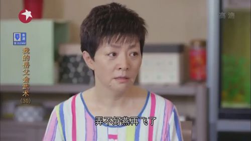 我的岳父会武术
