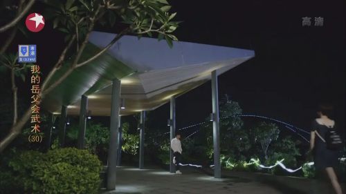 我的岳父会武术