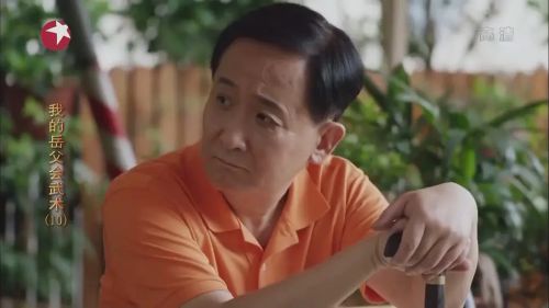 我的岳父会武术