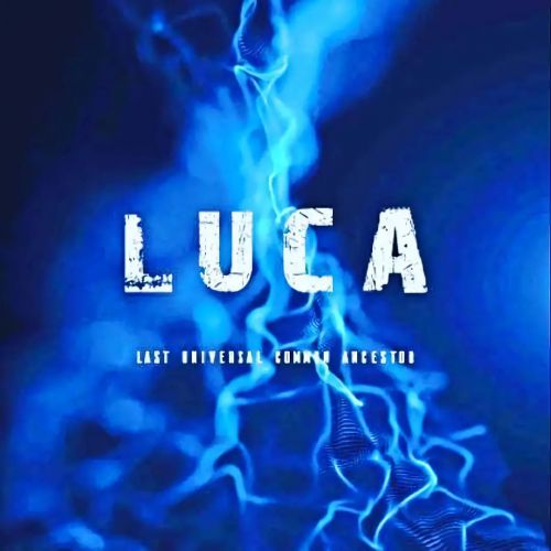 LUCA：起源