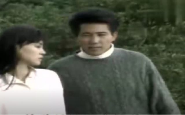 海鸥飞处彩云飞：秦汉和刘雪华站在一起好般配啊