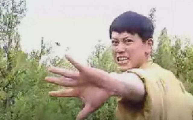 警匪老剧《警苑神掌》师兄犯法，师弟身为公安，毫不留情