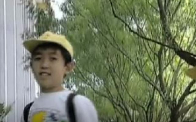 蜜月独身