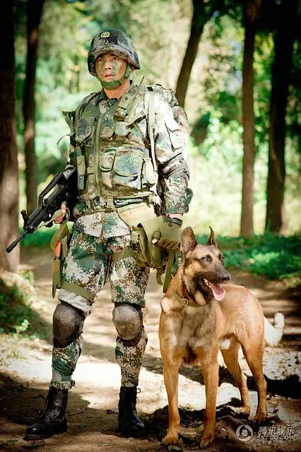 神犬奇兵