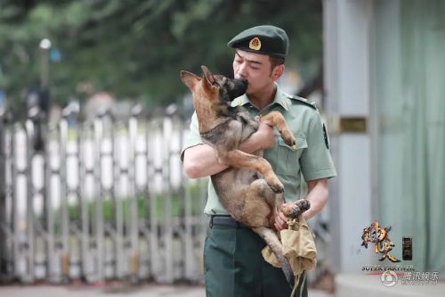 神犬奇兵