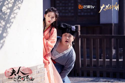 夫人，大可不必