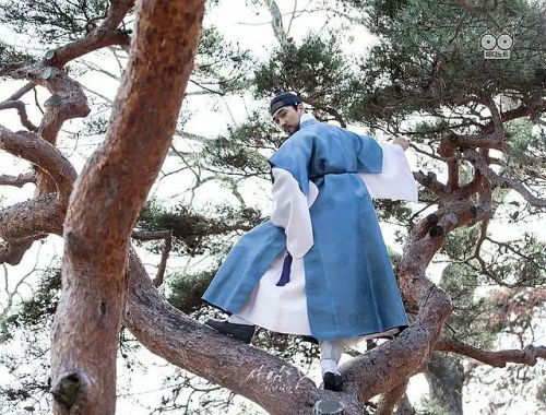 师任堂：光的日记